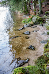Spiegelung am Ufer des Geradmer-See