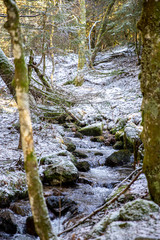 Gebirgsbach la Savoureuse am Elsässer Belchen