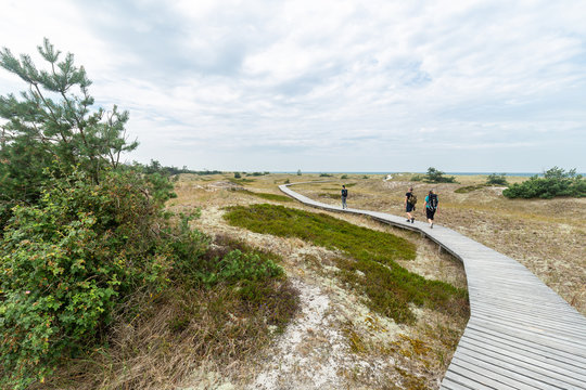 Nationalpark Boddenlandschaft
