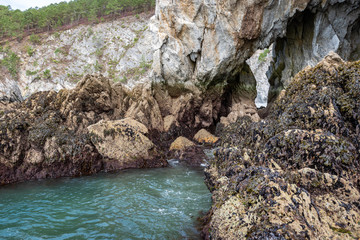 Corrosion, marée basse, coquillage, moules, rocher, grotte, Île Vierge au coeur de la Bretagne...