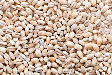 pearl barley close up background texture