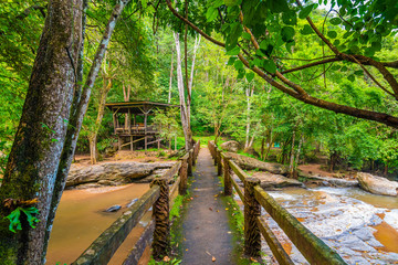 Wooden bridge above the Mae Sa river, near the waterfall, Thailand. Old bridge placed in tropical rainforest. Fresh green trees, plants and vibrant pure nature.Romantic view in nature near Chiang Mai
