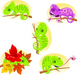 Obraz premium chameleon cartoon set