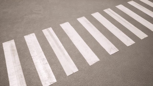 Funky zebra for wallpaper design. Monochrome background. Safari background. Watercolor tropical pattern. Zebra pattern texture black white. Fabric texture. Paper texture. 4k