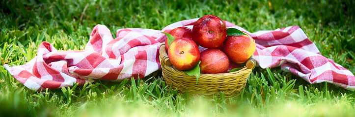 Summer background with ripe plum