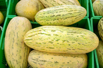 Ripe yellow melon close up. Selective focus, emphasis on the melon. fruit crop Background.