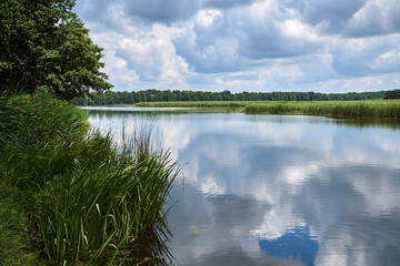 Reflection of clouds in a lake in a forest in Poland.