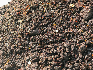 close up of leftover Food waste composter for plant fertilizer