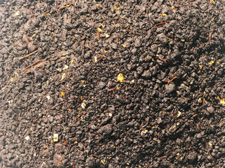 close up of leftover Food waste composter for plant fertilizer