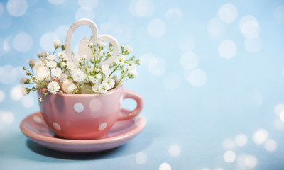 Spring background with flowers