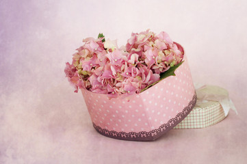 Obraz na płótnie Canvas Pink hydrangea flowers