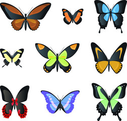 Fototapeta na wymiar butterfly cartoon