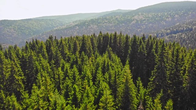 Sovata city, forest and valley from above. Aerial drone shot. Bird view. Panorama