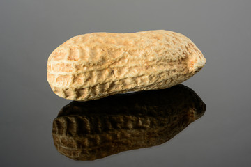 Peanut on glossy grey surface with reflection. Ripe whole real peanut macro close-up, high resolution full depth of field.