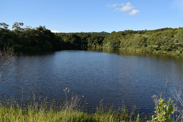 Lago cercado por floresta tropical