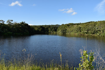 Lago cercado por floresta tropical