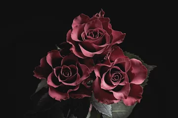 Fotobehang Beautiful roses on black background. Floral card design with dark vintage effect © New Africa
