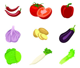 Large set of vegetables in flat design isolated on white background. Vegetables Vector Illustration.