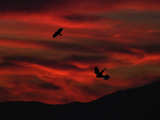 Tramonto drammatico