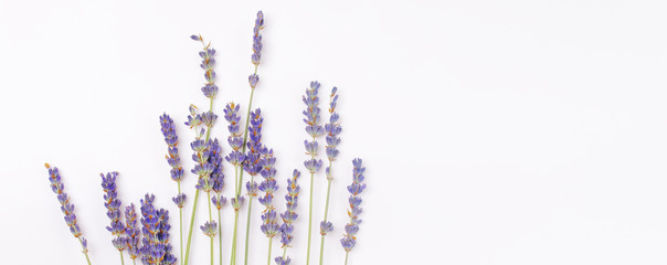 bouquet of violet lilac purple lavender flowers arranged on white table background. Top view, flat...