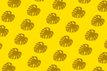 Pattern from the shadows of tropical leaves and plants on a colored clean background