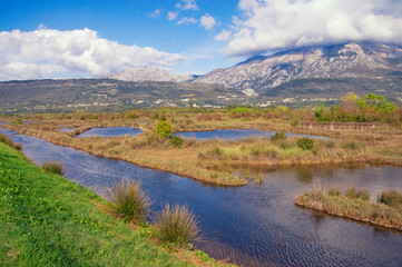 Beautiful wetland landscape. View of Tivat Salina  ( Tivatska Solila ) on sunny spring day.  Montenegro, Tivat
