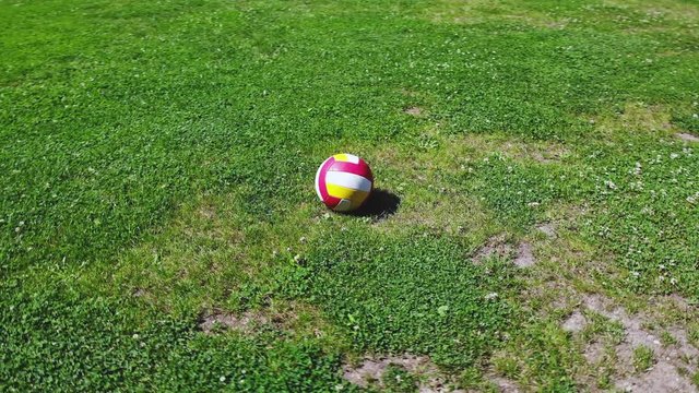 A volley ball on the grass in a sunny day