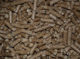 Zoom on few Wood pellets