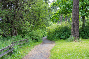 path in the park