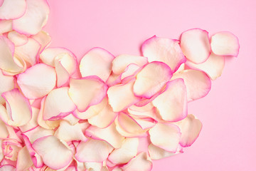 Rose petals are scattered on a pink paper background.
