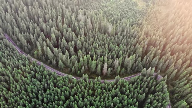 Sovata city, forest and valley from above. Aerial drone shot. Bird view. Panorama