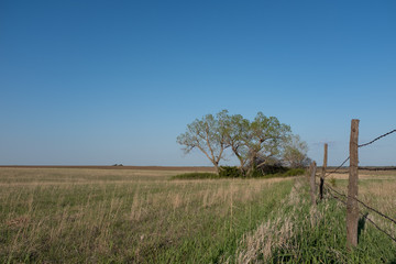 prairie