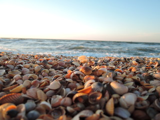 Fototapeta na wymiar Beautiful seashell beach at sunset by the sea