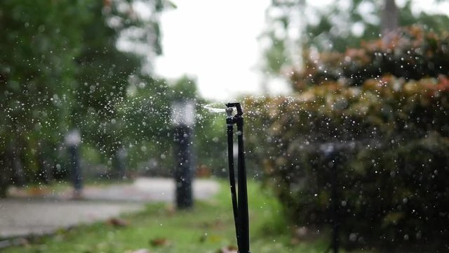 nature, green, outdoor, background, water, plant, spray, summer, grass, garden, agriculture, wet, landscape, drop, sprinkler, growth, environment, equipment, field, fresh, irrigation, beautiful, syste
