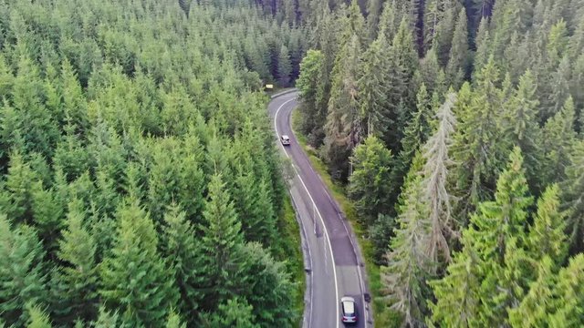 Sovata city, forest and valley from above. Aerial drone shot. Bird view. Panorama