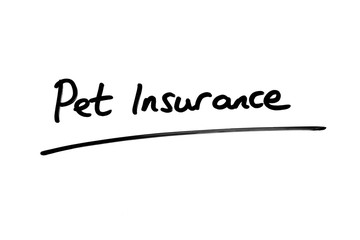Pet Insurance