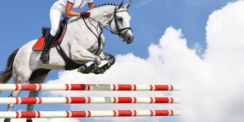 Girl jumping with white horse, isolated, blue sky, white clouds background. Rider in white uniform, equestrian sports. Horizontal header or banner. Ambition, breaking through, free, health concept.