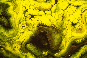 Mixed yellow, black and green acrylic paints. Abstract background for design.