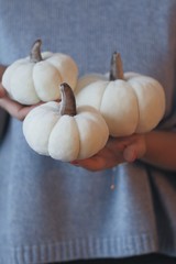soft plush pumpkins for Halloween