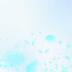 Turquoise flower petals falling down. Fair romanti