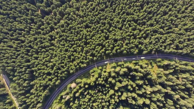 Sovata city, forest and valley from above. Aerial drone shot. Bird view. Panorama