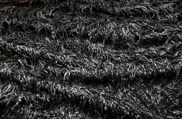 Black wool texture background, dark natural sheep wool,  texture of gray fluffy fur, close-up fragment of black wool carpet