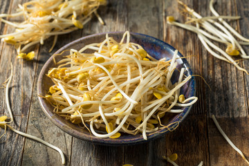 Raw White Organic Bean Sprouts