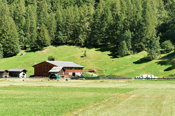 Agricultural farm and the meadow in Zermatt, Switzerland.