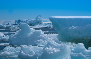 Adelie penguins on icebergs and icefloats along the coast of the Antarctic Peninsula, Antarctica