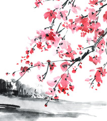 Landscape with blossom sakura tree