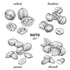 Fotobehang Walnut, peanut, hazelnut, almond. Hand drawn set with nuts. Vector illustration isolated on white background. Doodle healthy food illustrations © Diana