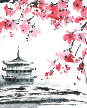 Pagoda and blossom sakura tree