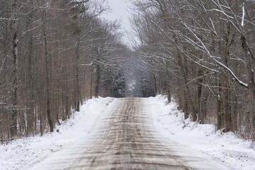 Dirt road in forest in winter
