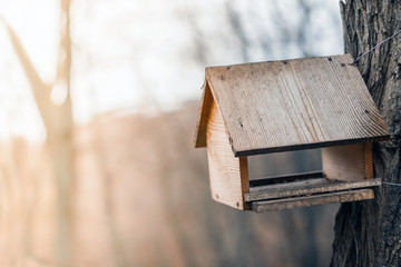 Bird feeder on the background of sunlight and blurry trees. In warm orange tones.